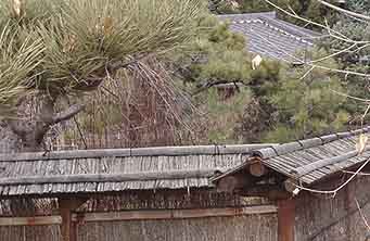 Fence outside the Japanese garden