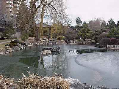 Japanese Garden